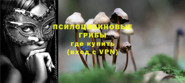 дмт Кулебаки
