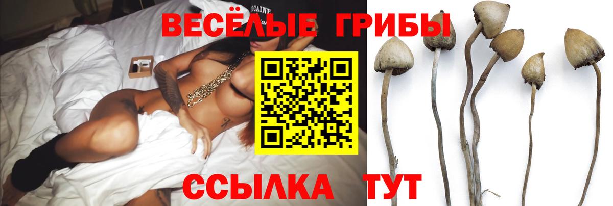 Красноярск  Псилоцибиновые грибы MAGIC MUSHROOMS  Вход с VPN 